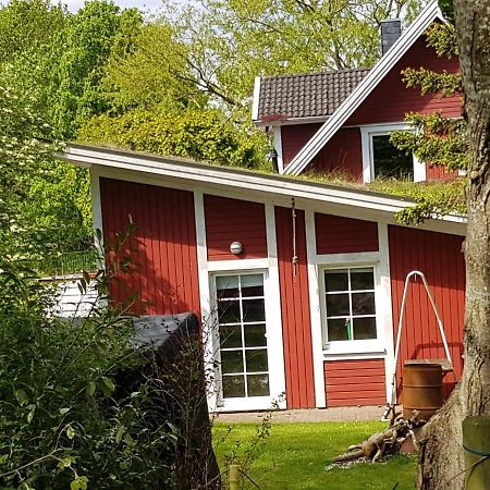 An Der Schafsweide Apartment Aukrug Bagian luar foto